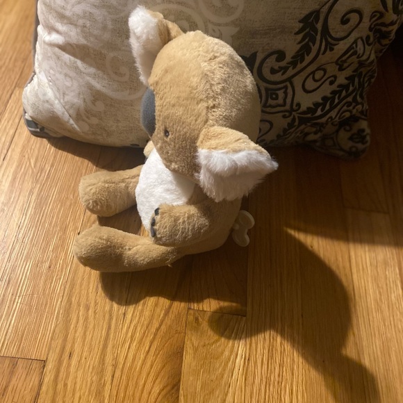 Musically koala - Picture 2 of 3